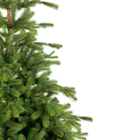 Choinka sztuczna Świerk Alpejski PE+PCV 240 cm stojak metalowy