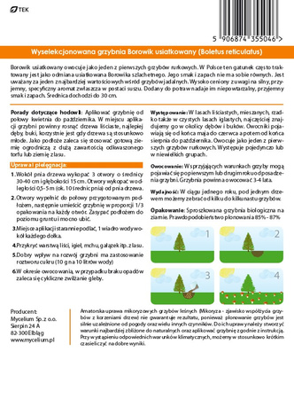 Grzybnia BOROWIK USIATKOWANY 10g