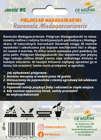 Pielgrzan Madagaskarski „Drzewo Podróżników” (Ravenala Madagascariensis) 5 nasion