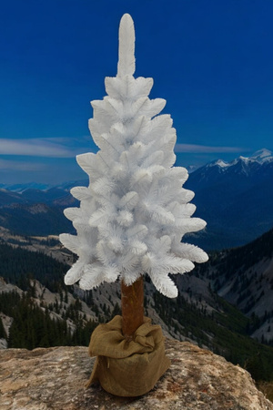 Choinka Biała Na Pniu 180cm Piękna Gęsta Sosna Śnieżka