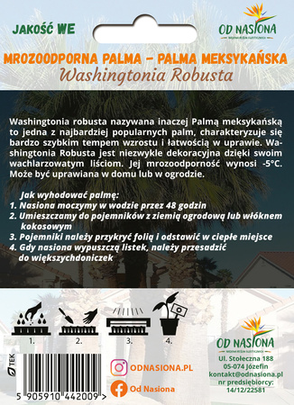 Palma Meksykańska (Washingtonia Robusta) 5 nasion