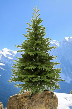 Choinka sztuczna Świerk Tyrolski PE+PVC 135 cm stojak plastikowy