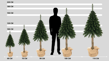 Choinka sztuczna Jodła Alpejska na pniu 180 cm