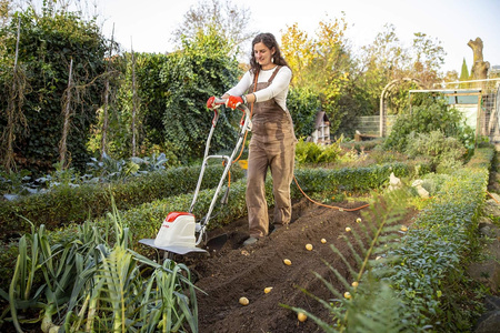 Glebogryzarka Ikra FEM 1500 elektryczna glebogryzarka ogrodowa kultywator Premium OB-IKRIEM1500 OGRODY Oficjalny dystrybutor Autoryzowany dealer i serwis Ikra