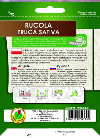 Rukola 'Eruca Sativa' na taśmie – zdrowa, aromatyczna i łatwa w uprawie