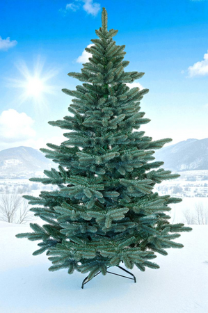 Choinka sztuczna Jodła Hiszpańska Srebrna 220 cm PVC