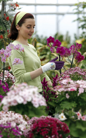 Rękawice nerine rękawiczki damskie "druga skóra" rozm. 6