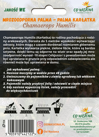 Palma Karłatka (Chamaerops Humilis) 5 szt nasion