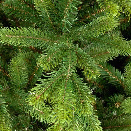 Choinka sztuczna Świerk Alpejski PE+PCV 240 cm stojak metalowy