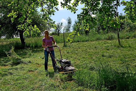 Kosiarka rotacyjna Dakr Tekton Suni 2 L 196 na silniku Loncin LC1P70F-3 kosiarka do wysokich traw i zarośli