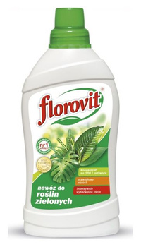 Florovit nawóz do roślin zielonych 1 kg Inco