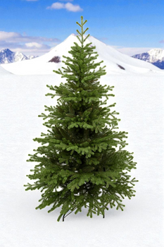 Choinka sztuczna Świerk Tyrolski 170 cm PE+PVC