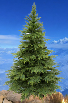 Choinka sztuczna Świerk Kaukaski PE+PCV 160 cm stojak metalowy