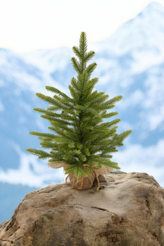 Choinka sztuczna Mini Kaukaski Świerk 65 cm 100% PE Mała Choinka