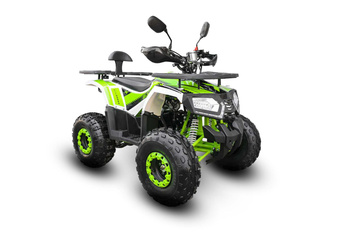 Quad ATV Barton T-Rex 125 zielony/niebieski