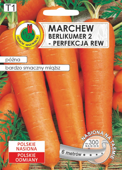 Marchew 'Berlikumer'  Perfekcja na taśmie – późna odmiana o wyjątkowym smaku i doskonałym przechowywaniu